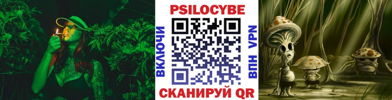 Галлюциногенные грибы Magic Shrooms  Галич 